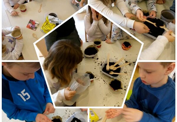 Ribice - planting seeds in the clay pots and watering them