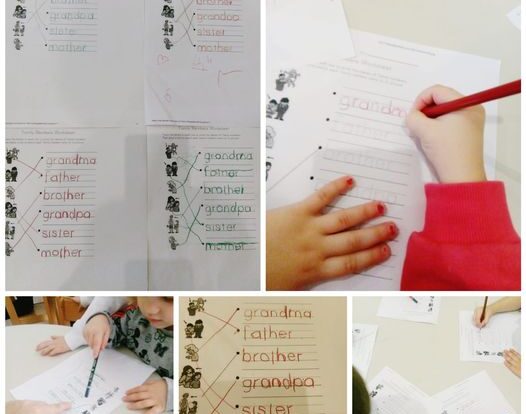 Leptirići engleski - my family worksheets, trace the lines and connect the picture with the right word