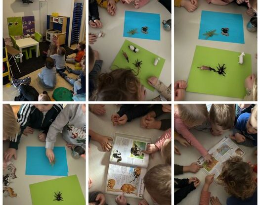 Leptirići engleski - we are learning about animals habitats through the documentary film and sorting game.