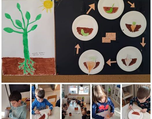 Ribice - In the garden - learning how do plants drink water; how plants grow and parts of the plants.