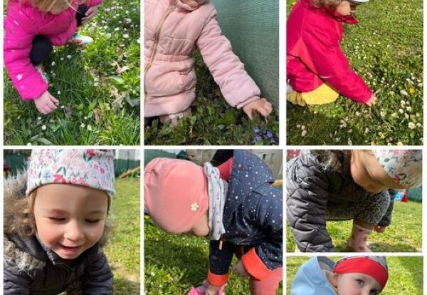 Žirafice - aktivnost branja, imenovanja i raspoznavanja proljetnog cvijeća za vrijeme boravka na zraku. Potičemo znatiželju i spoznaju.